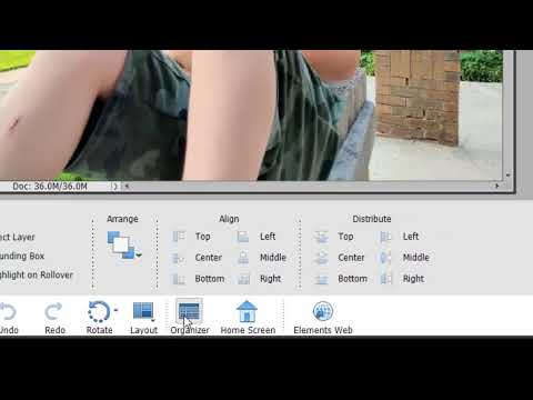 Cloud Storage in Photoshop Elements 2023