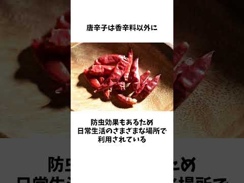 料理の引き立て役「唐辛子」の魅力  #食の雑学 #shorts