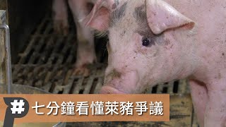 【P議題】七分鐘看懂萊豬爭議