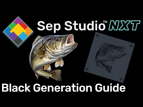 Separation Studio NXT - Black Generation Guide