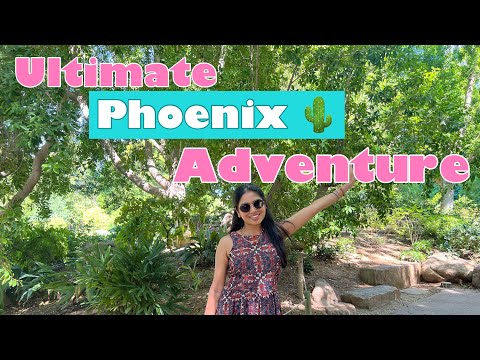 Exploring Phoenix 🌵: Top Fun Things to Do in Phoenix, Tempe & Sedona! 🗺️