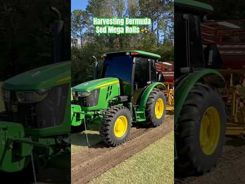 MEGA ROLL SOD harvesting in the John Deere #farming #turf #georgia