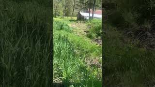 Scenic Hike On Old Wisconsin Farm