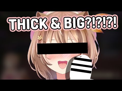 RISU LIKES IT BIG?!?!?! [Ayunda Risu | Hololive ID]