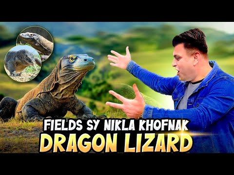 Vlog Banaty Hue Fields Sy Dragon 🐉 Lizard Nikal Aya | My New Vlog