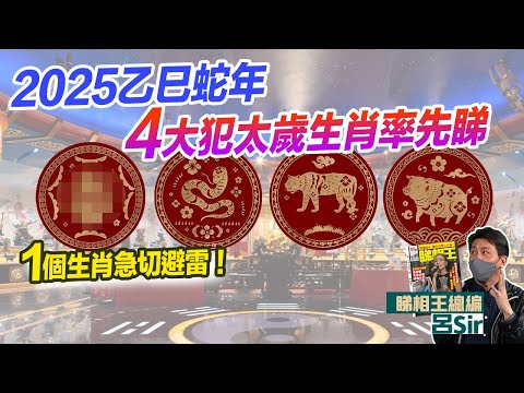 2025十二生肖犯太歲 附繁簡字幕｜率先睇乙巳蛇年4大生肖 全年不能做XX！1個生肖超伏！屬豬沖太歲 屬猴破太歲 屬虎害太歲 龍年預測 #生肖運勢2025 攝太歲 【囍趣睇相王EP105】風水佈局