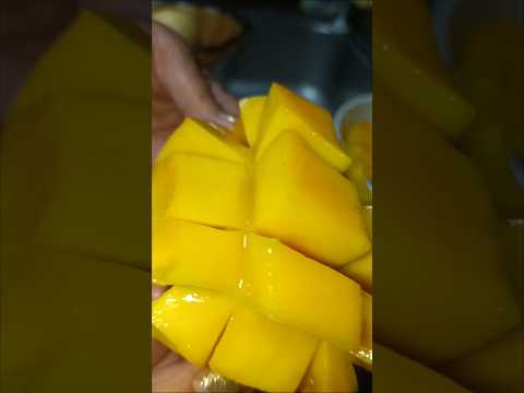 slicing fresh mangoes #fruit #mango #delicious #trending #youtubeshorts