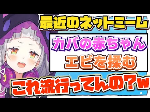 最近のネットミームが気になるシオンちゃんw【紫咲シオン/ホロライブ/切り抜き】