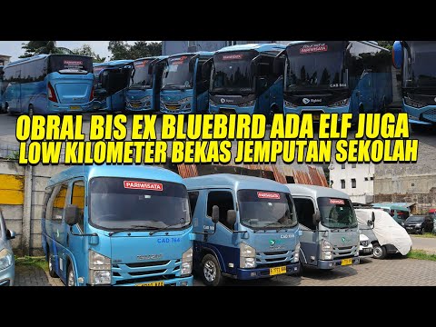 MASIH MULUS MULUS BUS DAN ELF EX BLUEBIRD DI OBRAL SEGINI HARGANYA