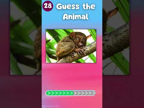 Guess 50 Animals in Just 3 Seconds – Can You Do It?|The Quiz Show