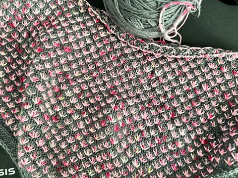 Visual help for Candy Bar Shawl