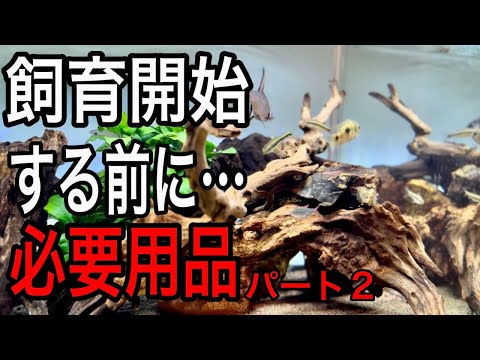 今から熱帯魚始めるならこの用品がオススメPart2【熱帯魚 アクアリウム】