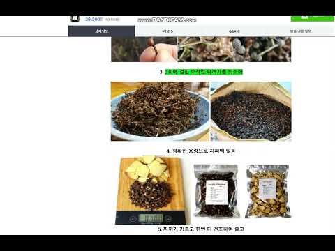 [좋은사람] 토종 헛개나무열매 차 (수작업 찌꺼기 손질한 프리미엄 제품) 경북 영천