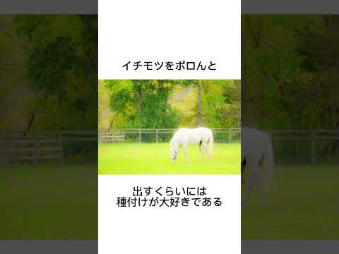 ゴールドシップの種付け　#競馬 #馬 #騎手 #競艇 #競輪#雑学