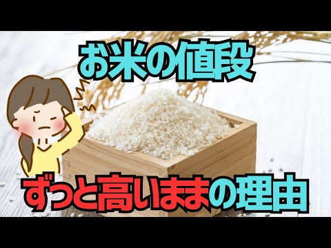 【家計直撃】お米の値段がずっと下がらないこれだけの理由…【ゆっくり解説】