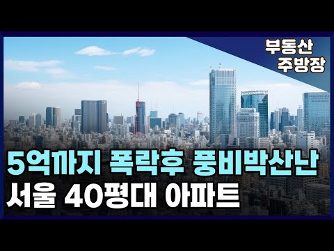 5억까지 하락한 서울 40평대 대형아파트. 분노유발 하락장에 맥 못추는 서울 아파트.