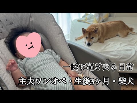 ガチの現実。妻不在の5時間だけなのに…。#ワンオペ育児 #犬 #赤ちゃん #主夫