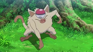 Pokemon Journeys Goh Caught Mankey