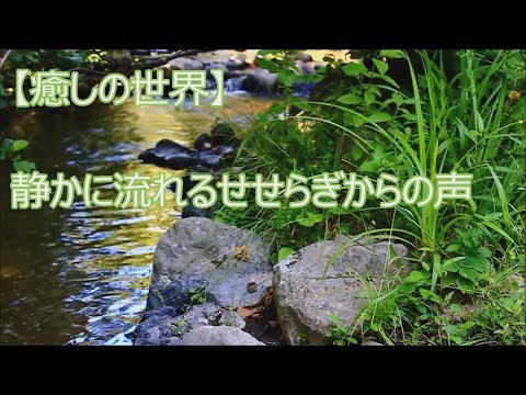 【癒しの世界】せせらぎ…虫の声