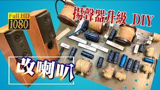 DIY小科普 -- 喇叭揚聲器修改都改些啥東西  分音器電阻電容線材還是焊錫  CC字幕