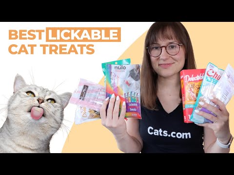 7 Best Lickable Cat Treats