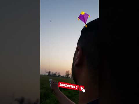 Viral #Shorts #Viral Shorts #Kite Flying #Basant