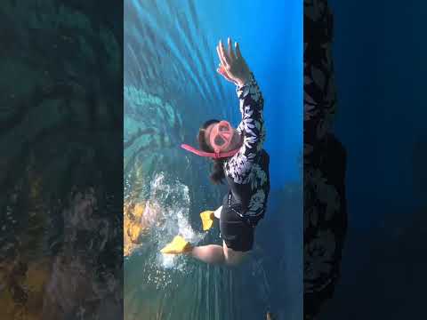 LABUAN CERMIN DI KALIMANTAN TIMUR SEJERNIH CERMIN🐳#journey#wisata#shortvideo#viralvideo #underthesea