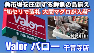 【Valor バロー 千音寺店 初セリで落札 大間マグロが入荷 魚市場を圧倒する鮮魚の品揃え 】あばお 海鮮ちゃんねる #329 2025.01.11