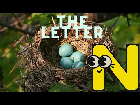 The Letter N Song! | Let's Learn & Sing | Fun Learning Songs for Kids