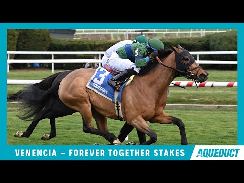 Venencia - 2024 - Forever Together