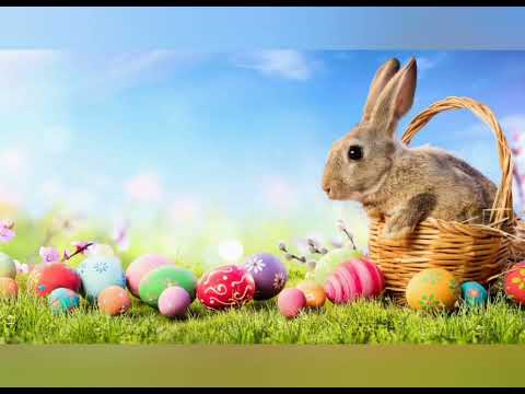 Frohe Ostern 🐇🐤