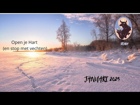 STIER JANUARI 2025 Open je Hart en stop met vechten