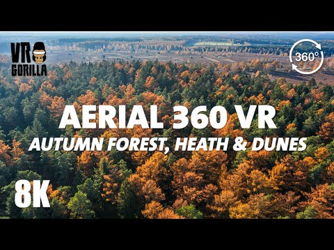 Autumn Forest, Heath and Dunes - Aerial & Walkthrough - 8K 360 Drone Video