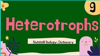 Heterotrophs #9