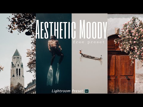 lightroom preset malayalam aesthetic moody lightroom preset free DNG file