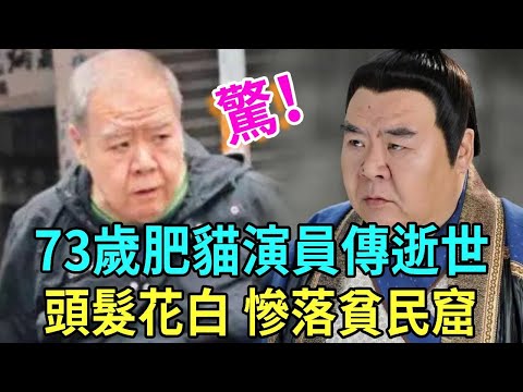 驚！ 73歲鄭則仕傳逝世！ 「肥貓」演員投資失敗竟欠8000萬巨債，全家慘遭搬入貧民區，令人唏噓！#鄭則仕 #劉家輝  #吳耀漢 #張偉文 #盧少萍 #余慕蓮 #吳博君 #星聞榜