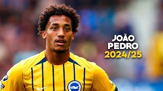 João Pedro 2024/25 - Crazy Skills, Goals & Assists | HD