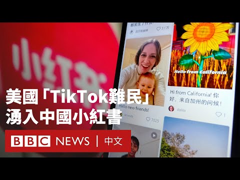 TikTok禁令臨近 美國用戶「逃難」中國小紅書－ BBC News 中文