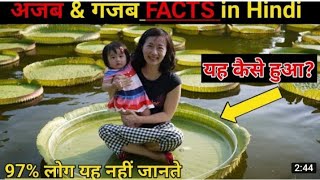 Fact Video || Amazing facts || Fact video in Hindi || Himanshu korba vines