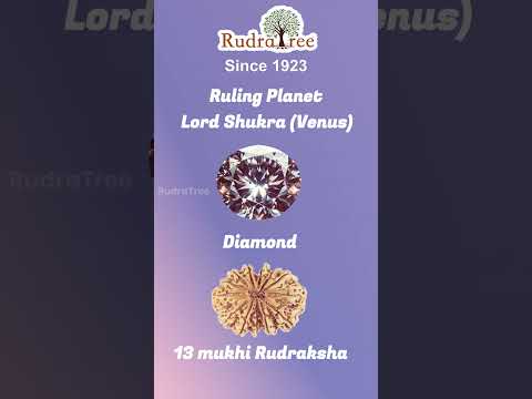 Agneeswarar  Shukra Temple | Kanjanur | Lord Shukra | RudraTree Rudraksha and Gemstones