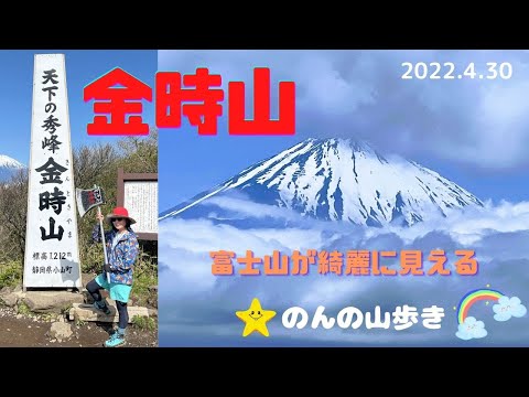 【春山登山】金時山に登ったら絶景の富士山が(^O^)／