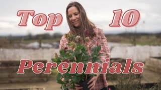 My Top 10 PERENNIALS for cut flowers