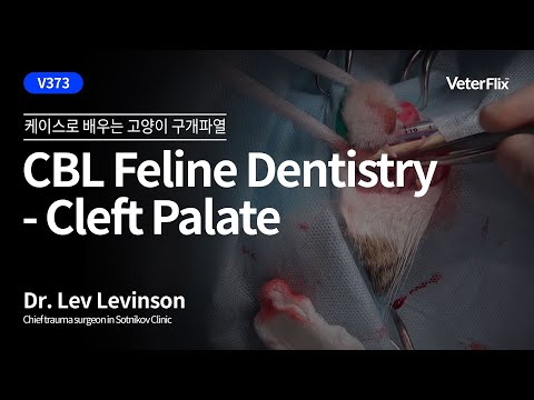 [베터플릭스] [CBL Feline] Cleft Palate - KOR(케이스로배우는 고양이 구개파열)