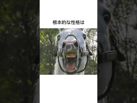 名馬にして迷馬ゴールドシップ　#競馬 #馬 #騎手 #競艇 #競輪#雑学