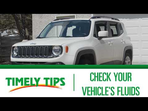 Timely Tips: How To Check Vehicle Fluids | Menards