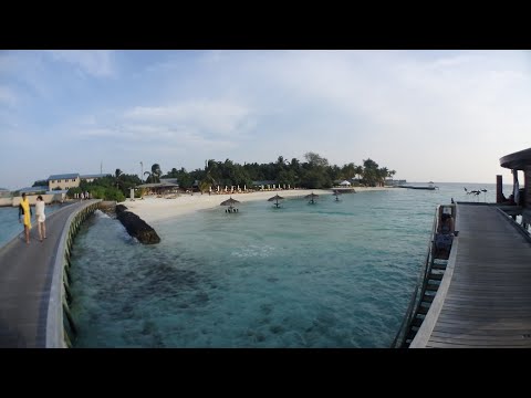 远方的家，马岛那片海，阿拉伯海篇之短版