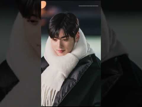 Cha Eun Woo won the poll for “Kpop idols you want to enjoy the first snow with”