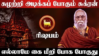 ரிஷபம் - எல்லாமே கை மீறி போக போகுது | சுக்ரன் உச்சம் | sukra peyarchi - rishabam 2025