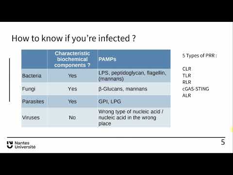 Anti Infectious Immunity: Part 1