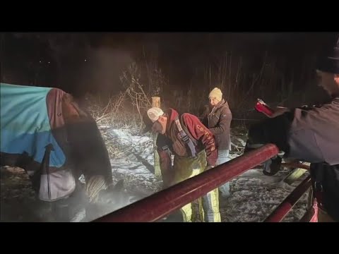 Firefighters come to rescue of horses after pipes freeze